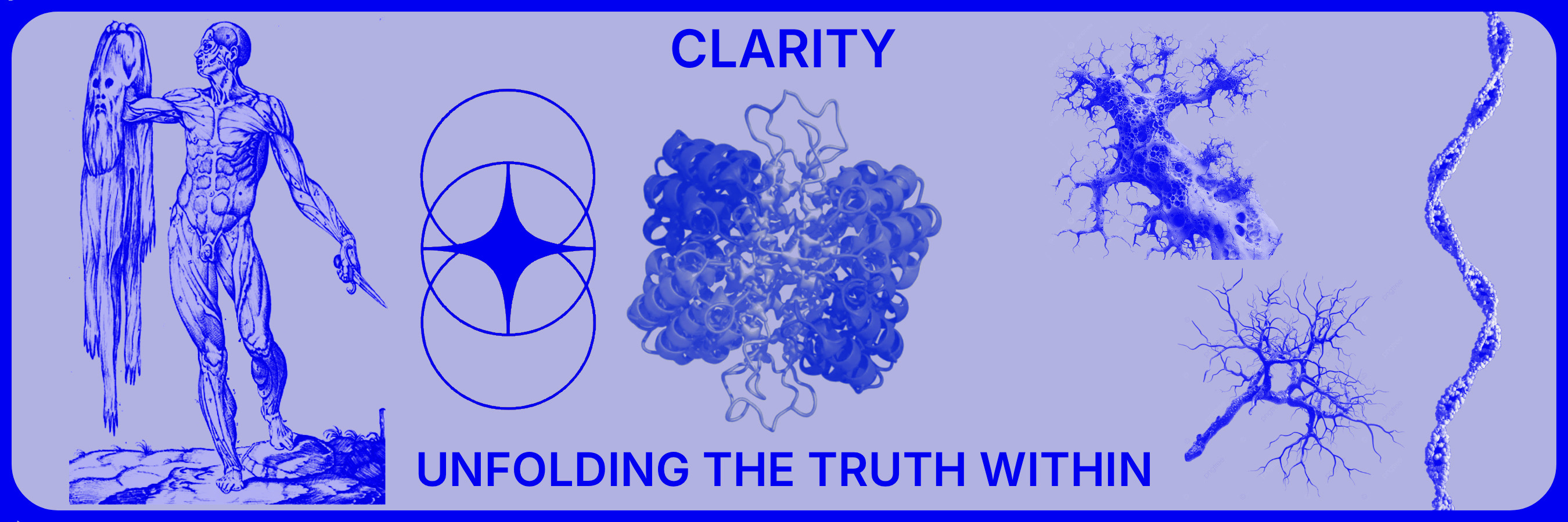 Clarity Protocol - Unfolding the Truth Within